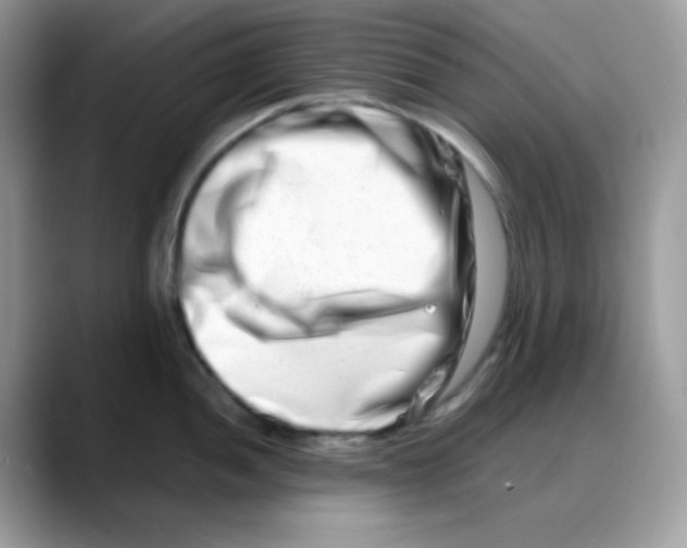 X0000088131052200706111404