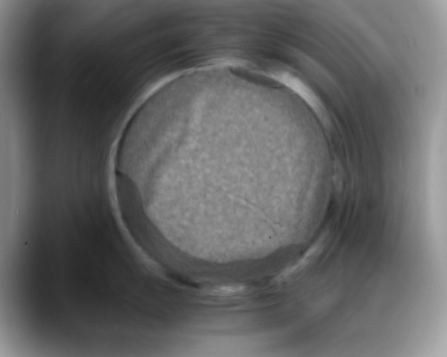 X0000088131055200706111404