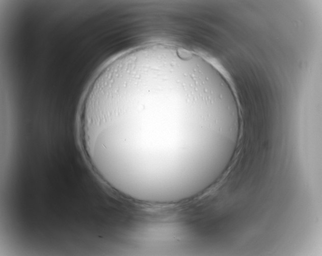 X0000088131056200706111404