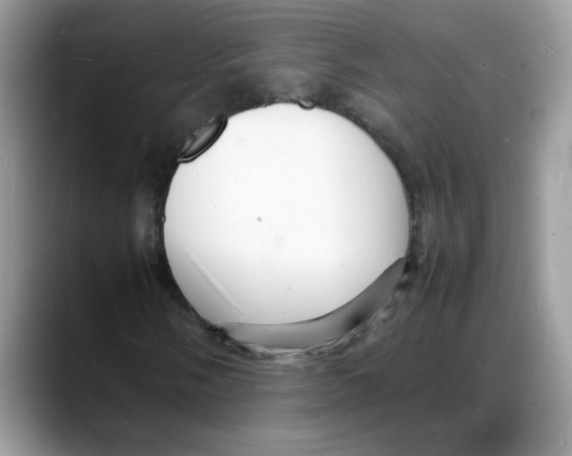 X0000088131058200706111403