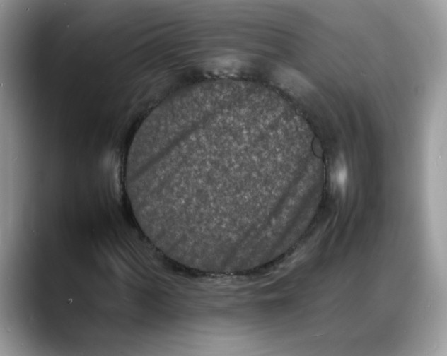 X0000088131060200706111403