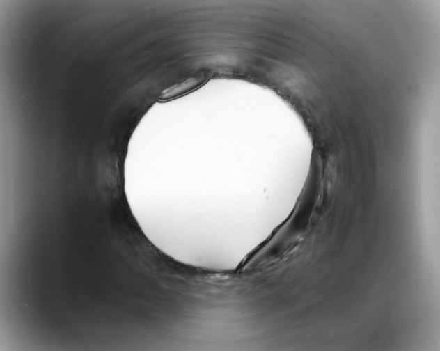 X0000088131062200706111403