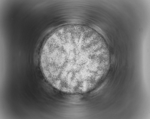 X0000088131067200706111403