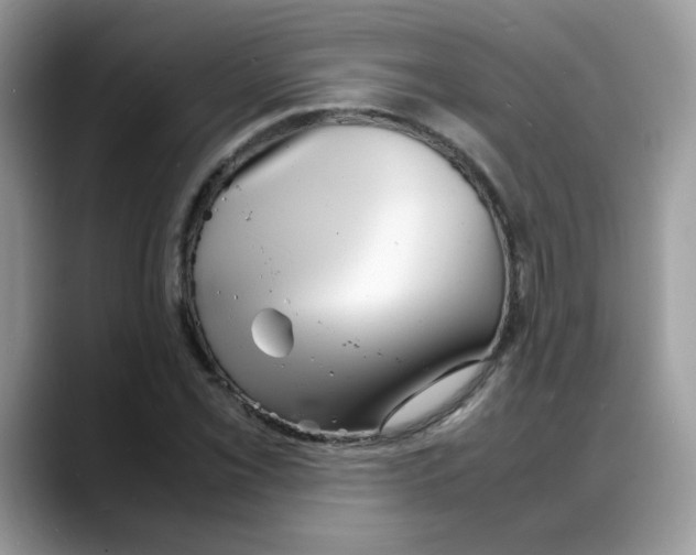 X0000088131069200706111403