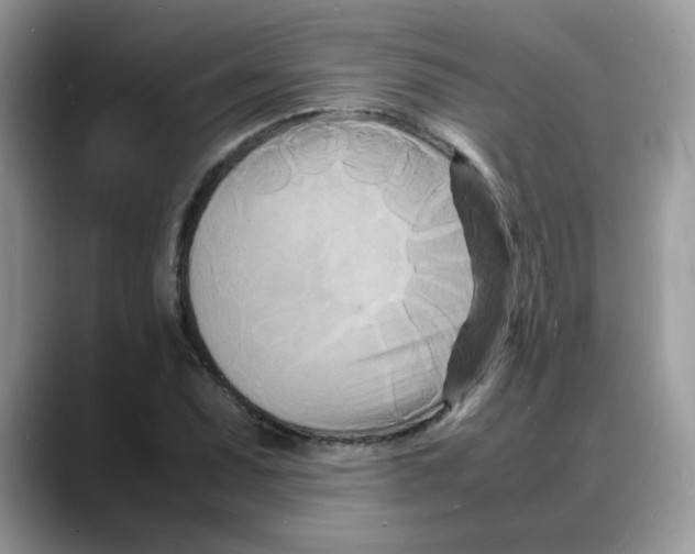 X0000088131071200706111403