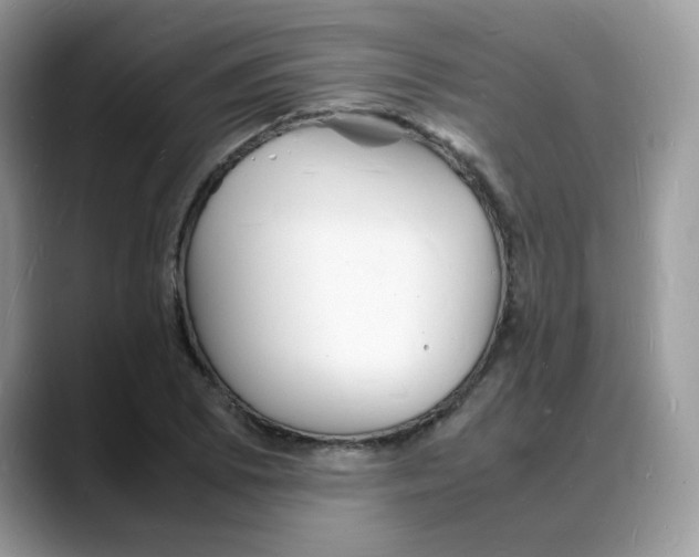 X0000088131073200706111403