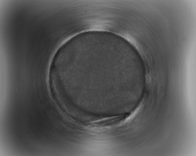 X0000088131077200706111403