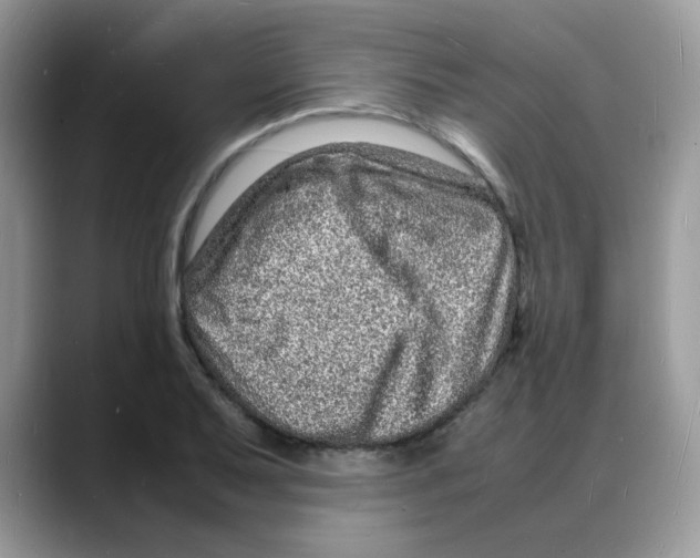 X0000088131079200706111403