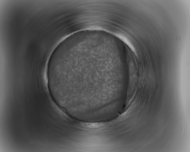 X0000088131084200706111403