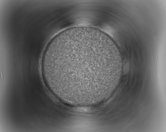 X0000088131086200706111403