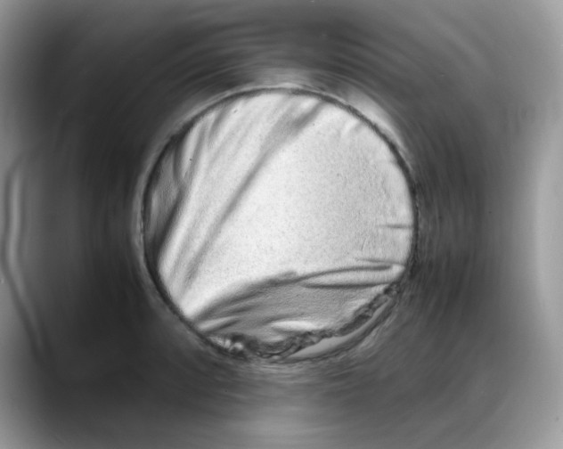 X0000088131088200706111403