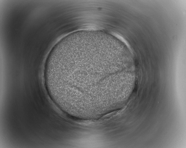 X0000088131091200706111403