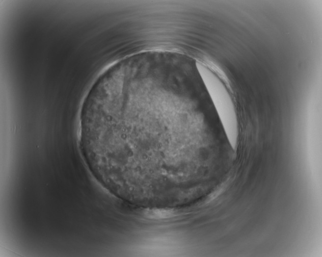 X0000088131095200706111403