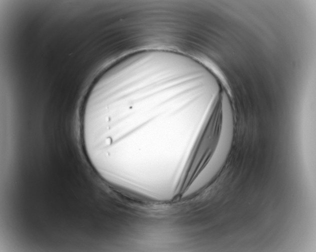 X0000088131096200706111403