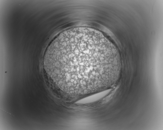 X0000088131097200706111403