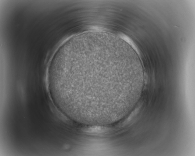 X0000088131098200706111403