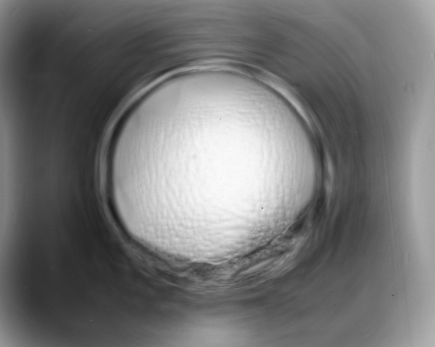 X0000088131101200706111403