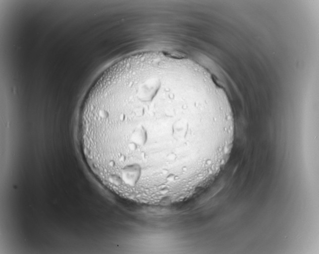 X0000088131103200706111403