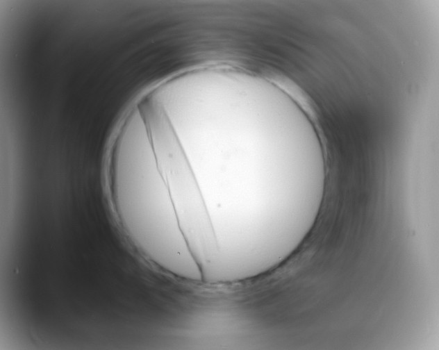 X0000088131104200706111403