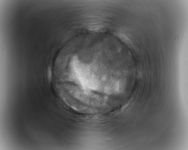 X0000088131106200706111402