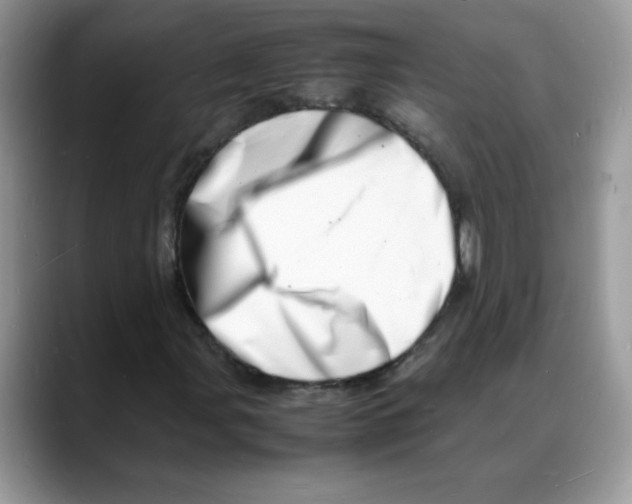 X0000088131107200706111402