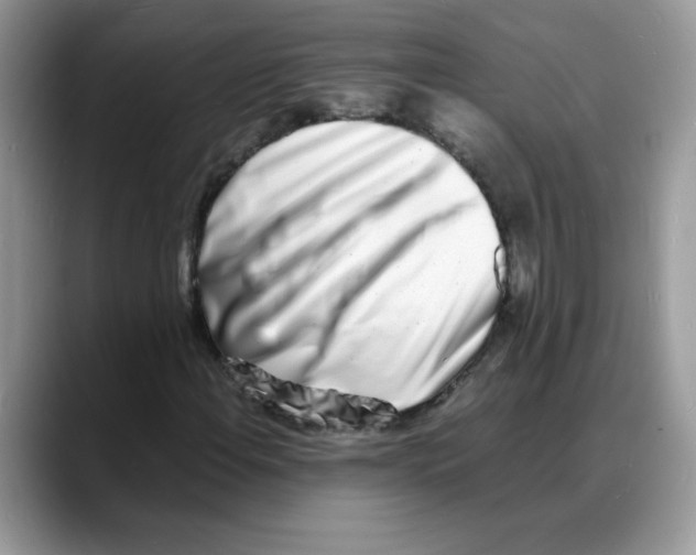 X0000088131108200706111402