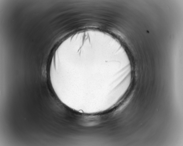 X0000088131113200706111402