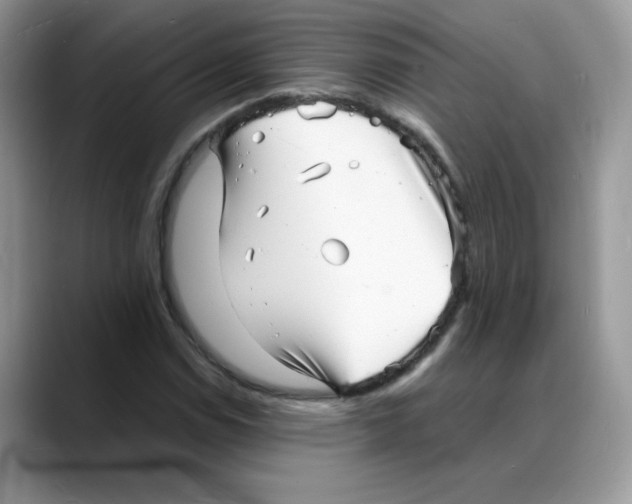 X0000088131114200706111402