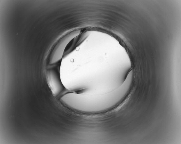 X0000088131118200706111402