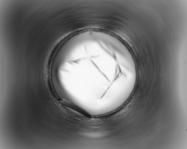 X0000088131119200706111402