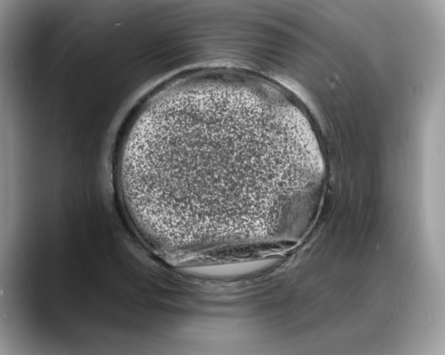 X0000088131120200706111402