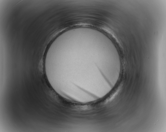 X0000088131121200706111402