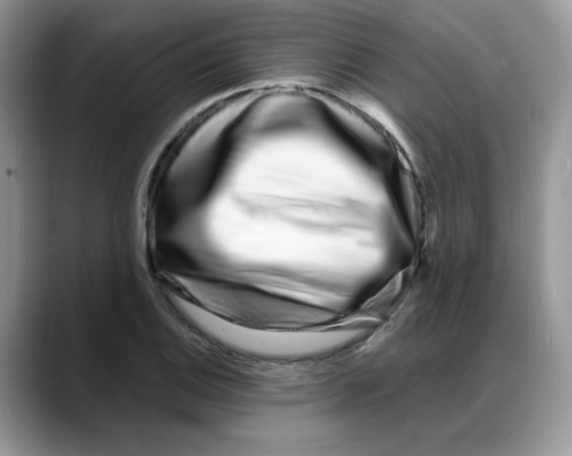 X0000088131124200706111402