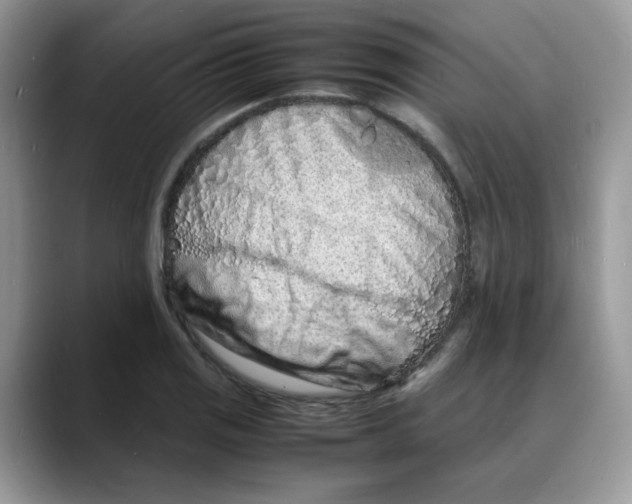 X0000088131125200706111402