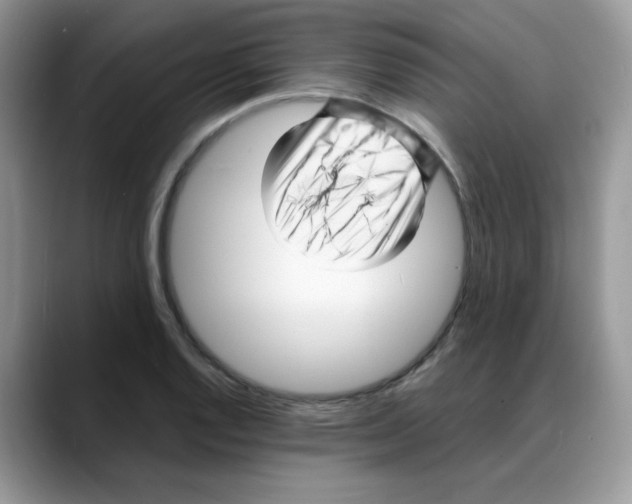 X0000088131128200706111402