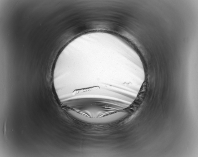 X0000088131129200706111402