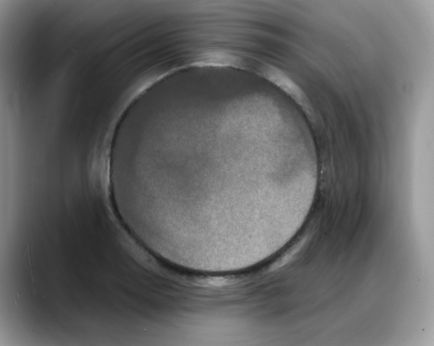 X0000088131130200706111402