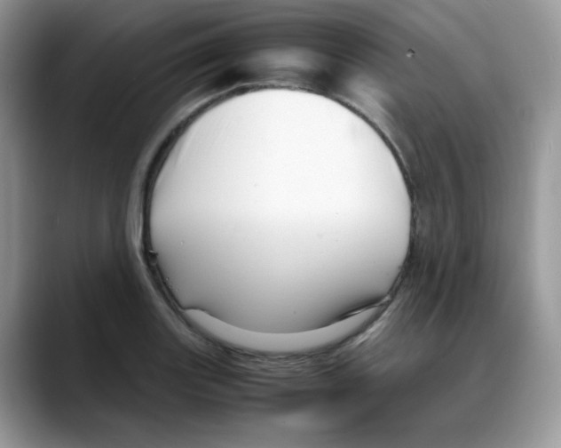 X0000088131131200706111402