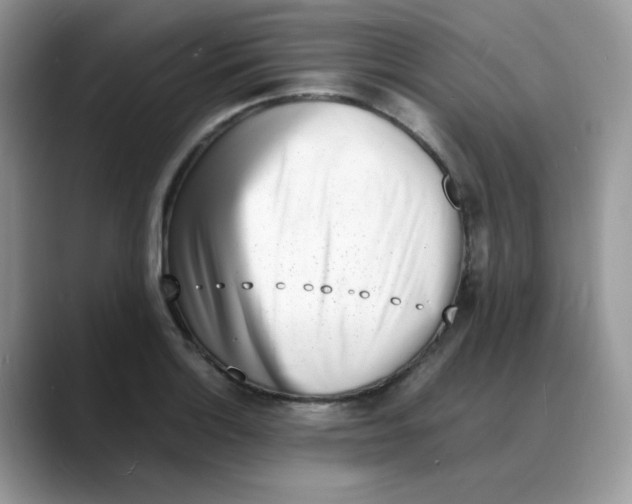 X0000088131132200706111402