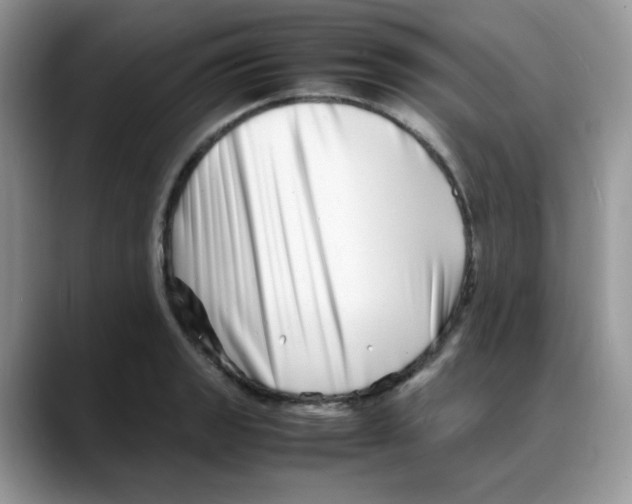 X0000088131133200706111402