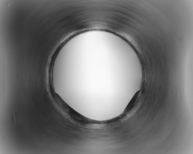 X0000088131134200706111402