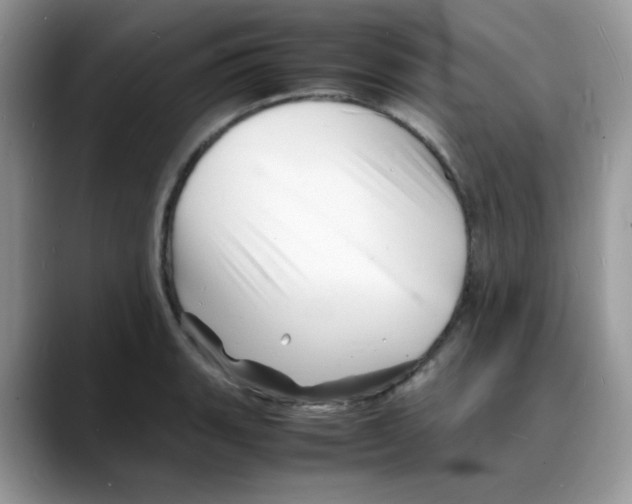 X0000088131135200706111402