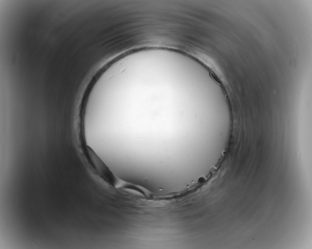 X0000088131136200706111402