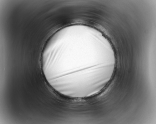 X0000088131137200706111402