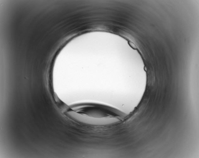 X0000088131139200706111402