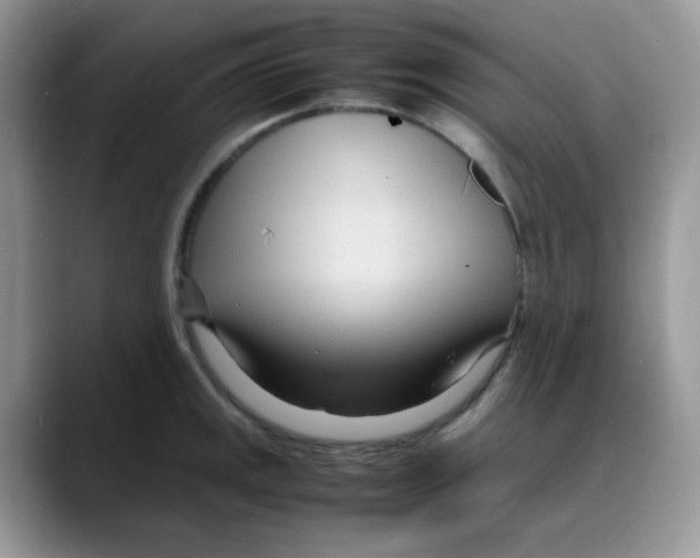 X0000088131141200706111403