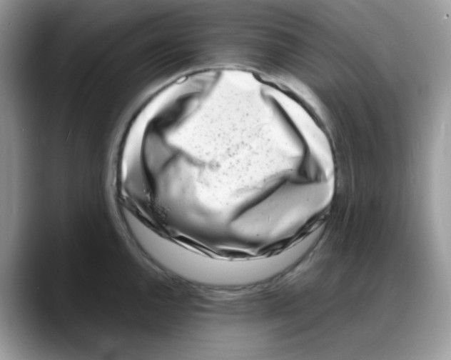 X0000088131144200706111403