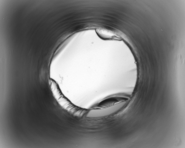 X0000088131145200706111403