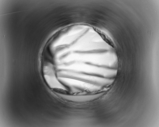 X0000088131151200706111403