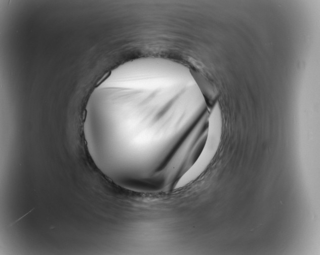 X0000088131153200706111402